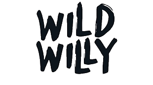 wild willy sp. z o. o. 