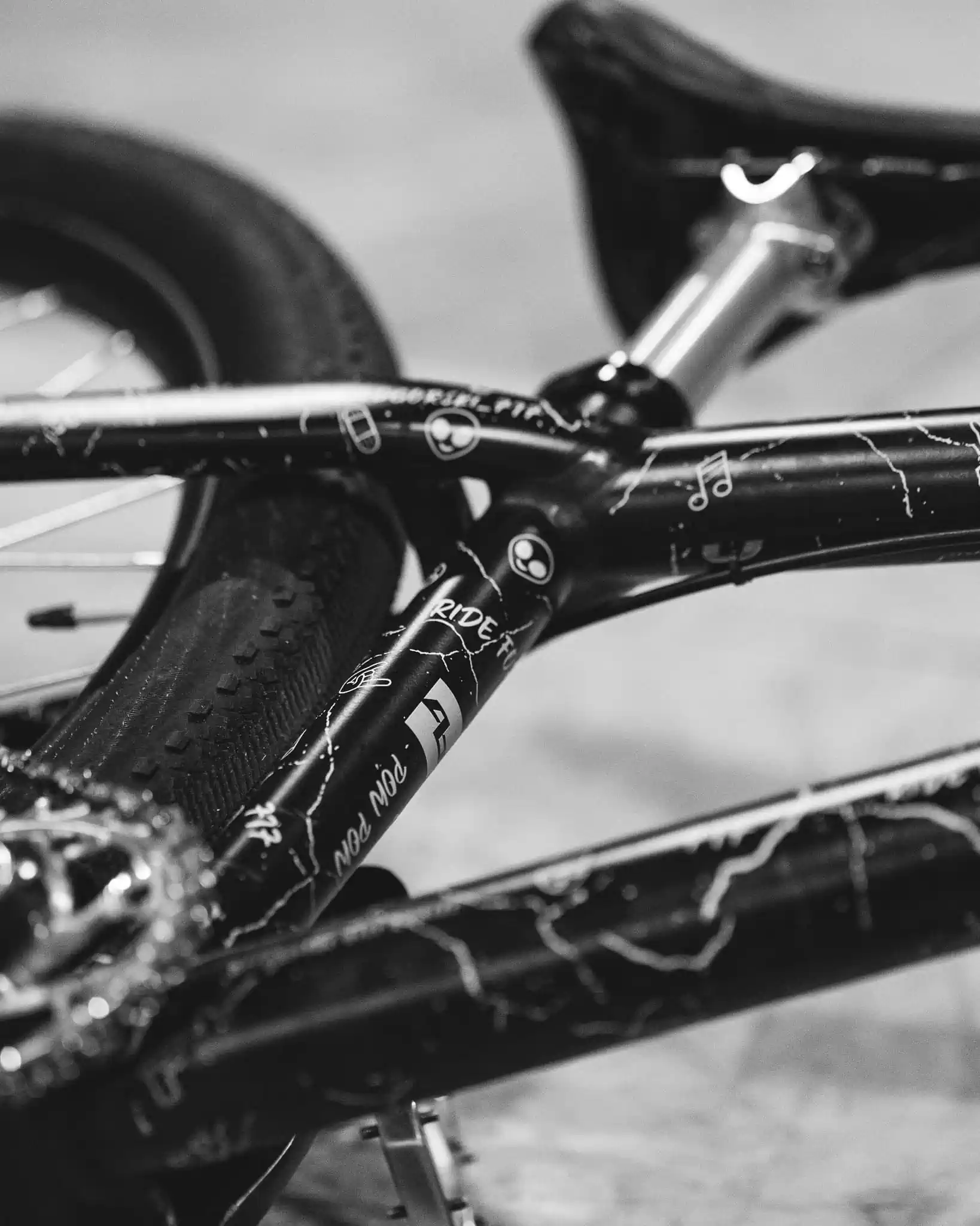 NS Bikes Decade V2 – detale nadruku