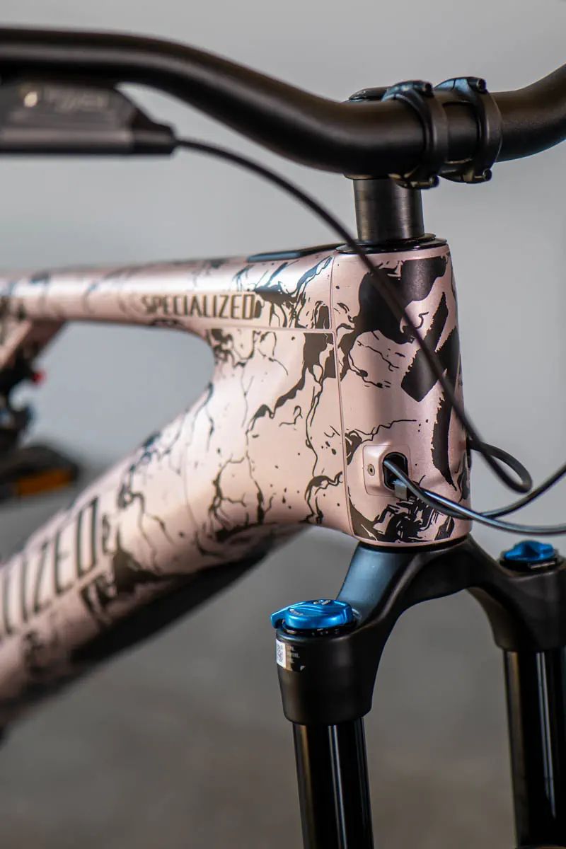 Zbliżenie na detale główki