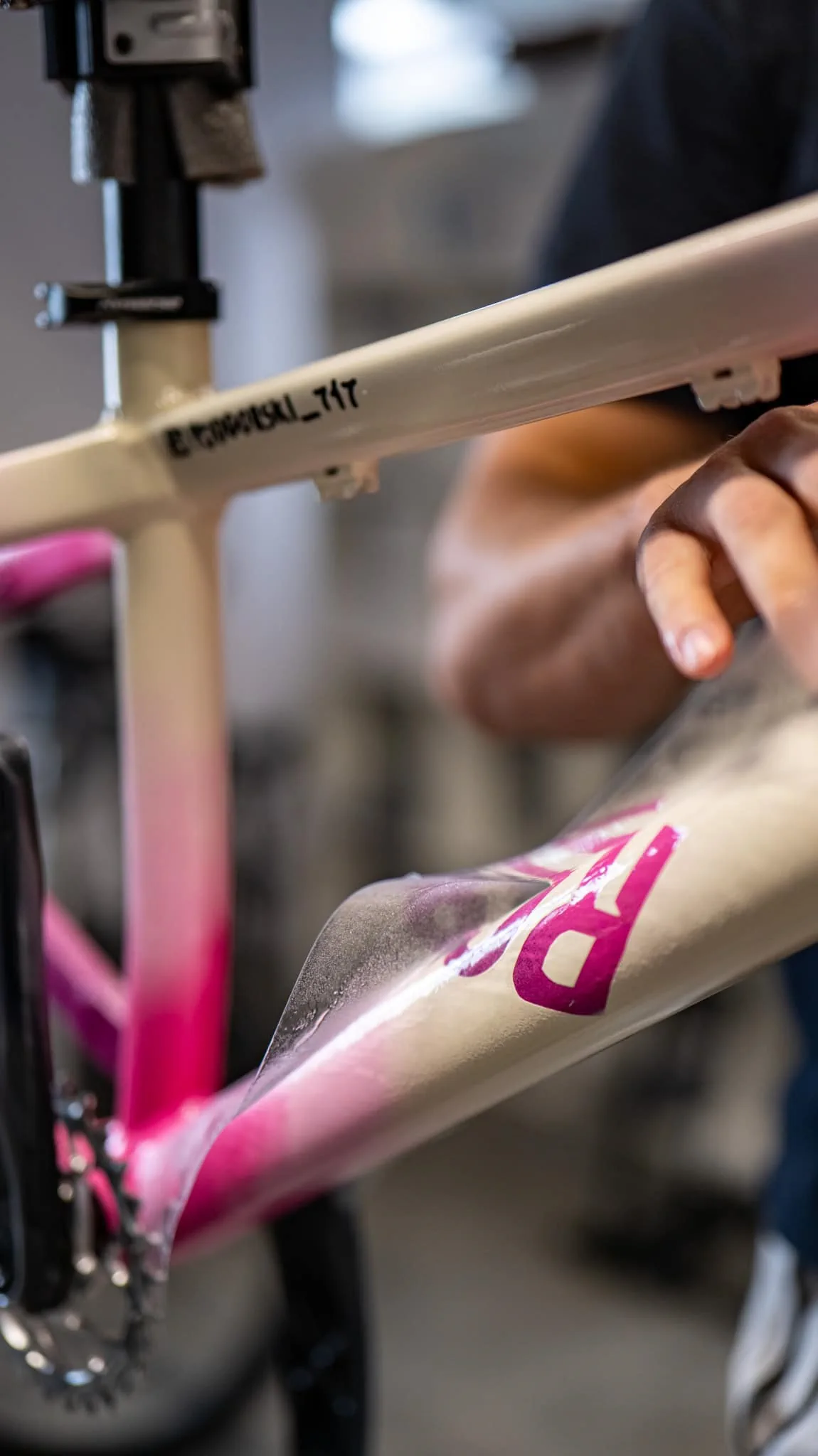 Aplikacja folii na ramę Rose The Bruce